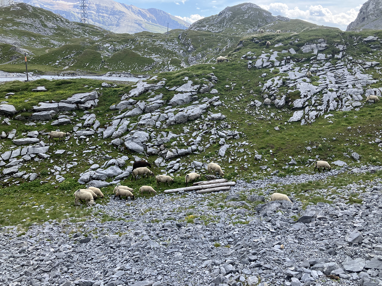 passage_gemmi